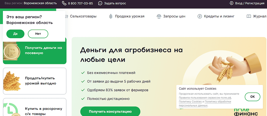 Поле.рф