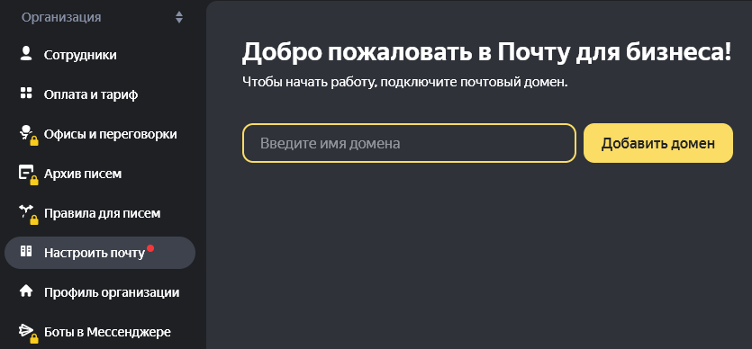 3. Перейдите к своей новой организации и добавьте свой домен, введя его имя.