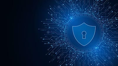 secure development standards