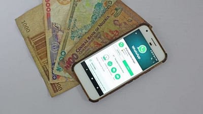 How eCommerce Stores Can Get the Most Out of WhatsApp Business and its New Payments Features - CS-Cart Blog