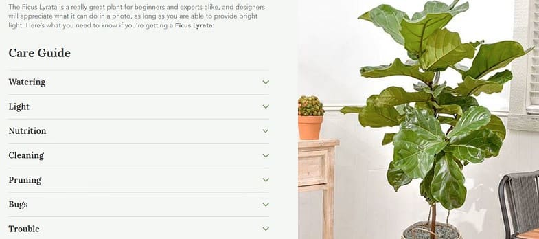 Care guide