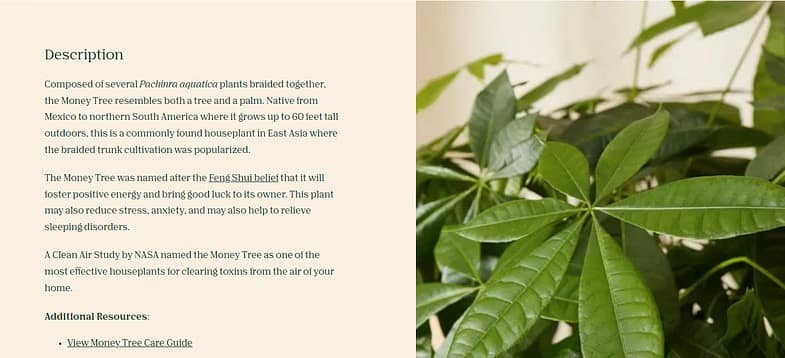 Plant Description