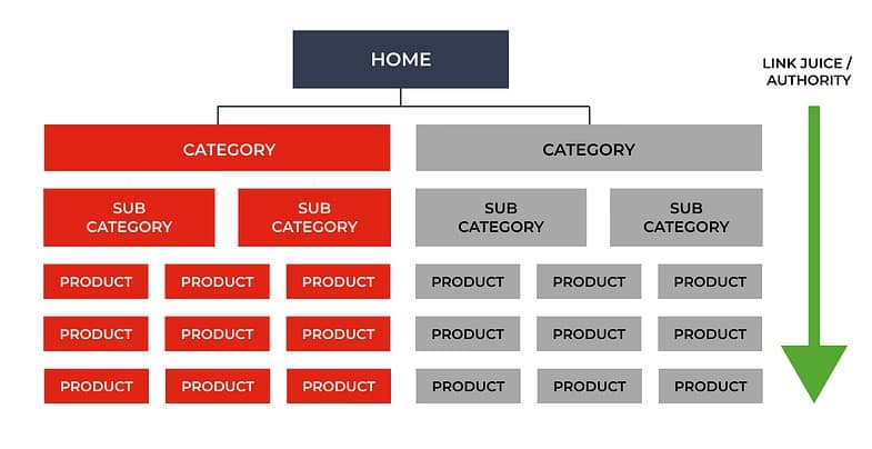 UX UI