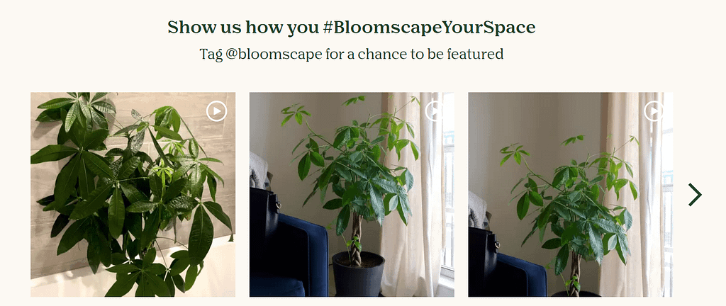 Marketing on Bloomscape with the help of UGC
