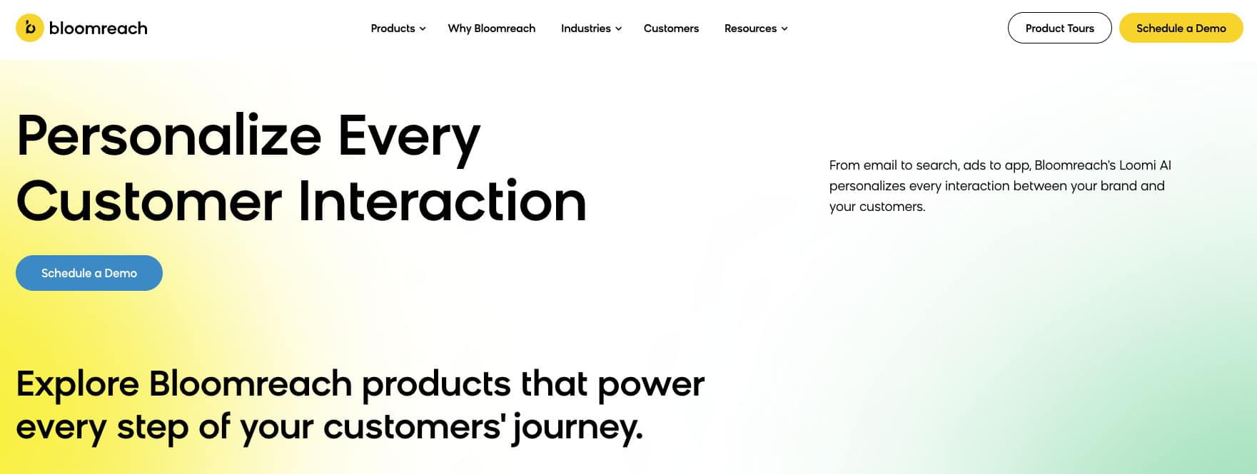 Bloomreach - Personalize Every Customer Interaction