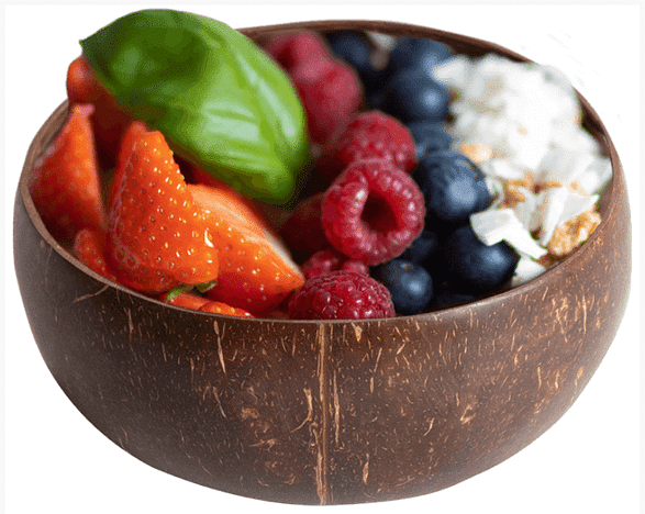 Organic Coconut Bowl