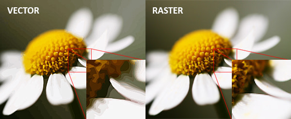 Vector Graphics vs Raster Graphics (Source)