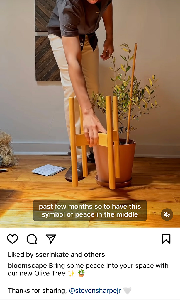 Plants in Instagram