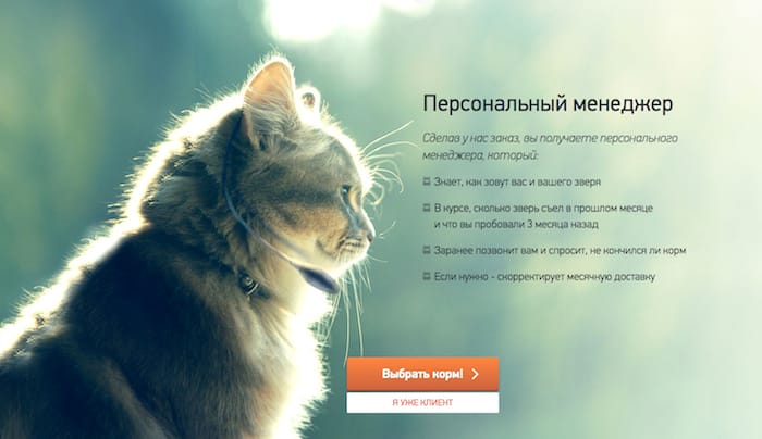 как оформить страницу подписки на товар в интернет-магазине