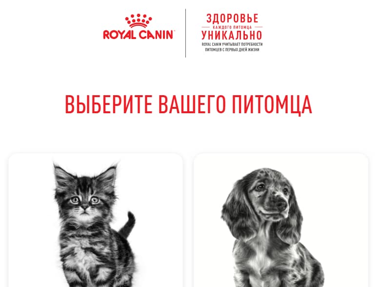 Royal Canin, E-recruitment