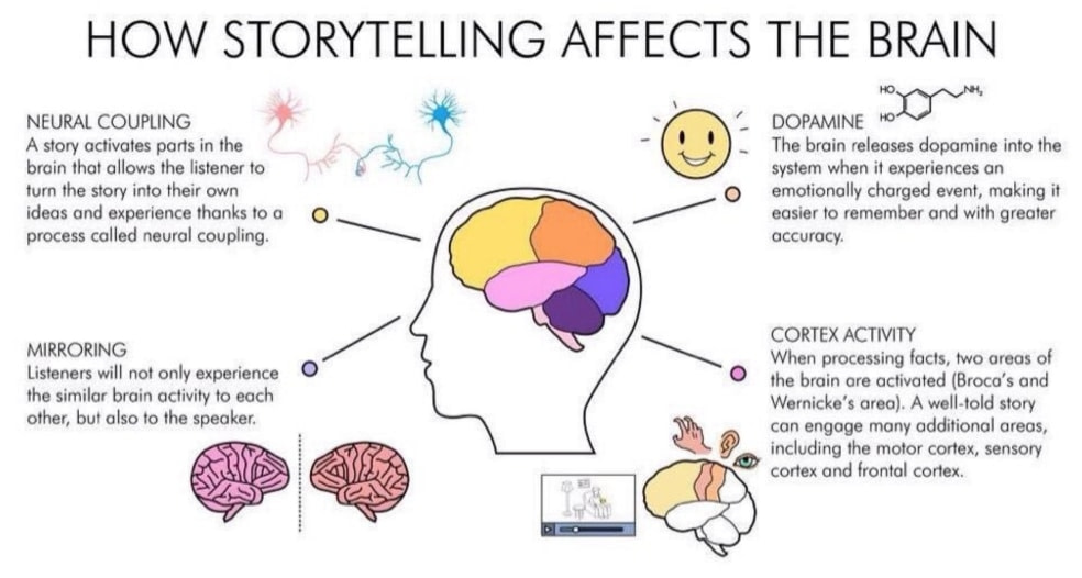 How Storytelling affects the brain