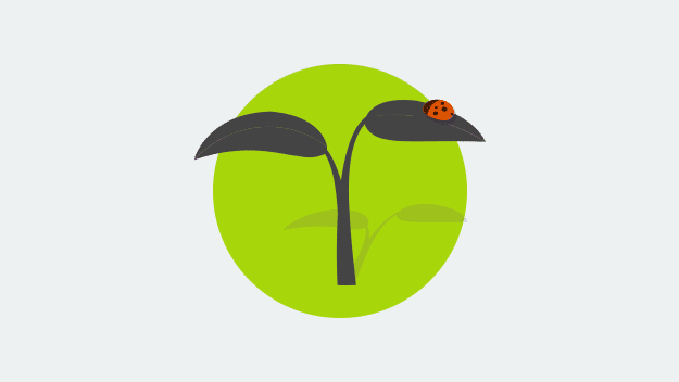 The website is in a sandbox The website is in a sandbox